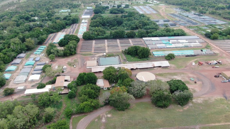 Crocodile farm - wide view