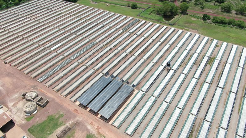 Crocodile cages - wide view