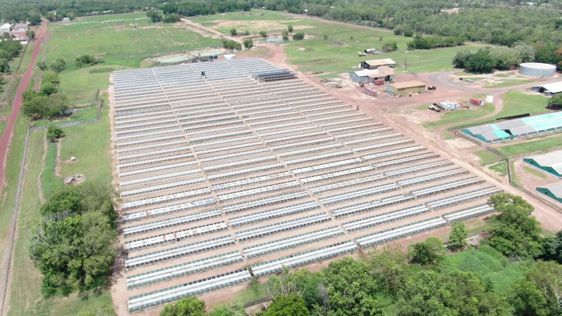 Crocodile cages - wide view