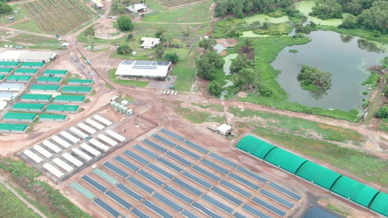 Crocodile farm - wide view