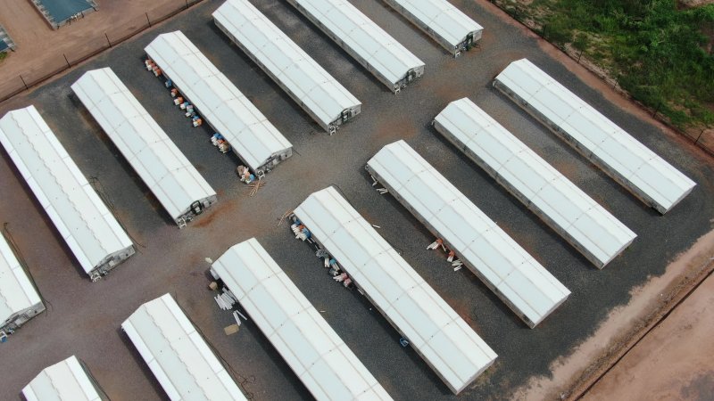 Crocodile hatchery sheds