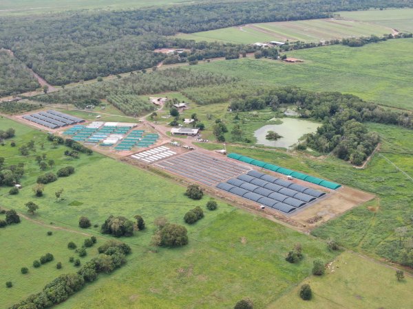 Crocodile farm - wide view