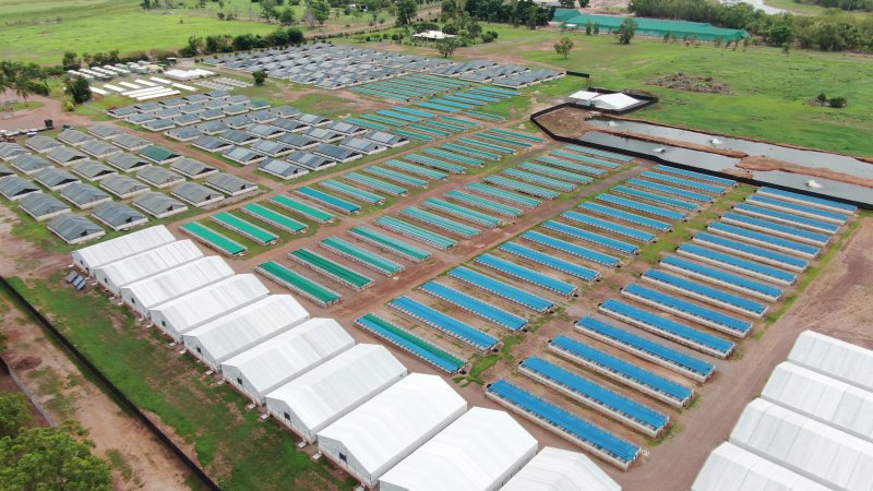 Crocodile farm - wide view