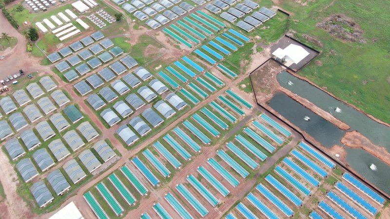 Crocodile farm - wide view