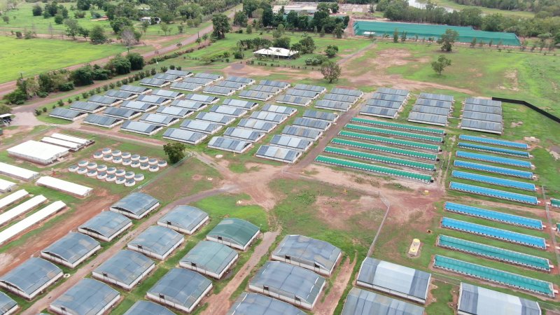 Crocodile farm - wide view