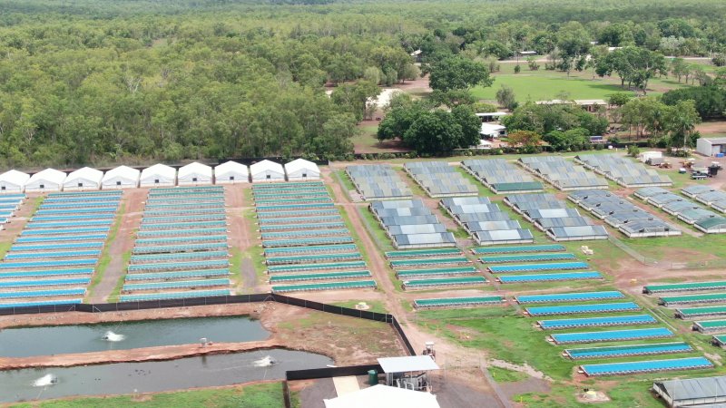 Crocodile farm - wide view