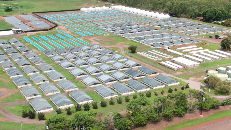 Crocodile farm - wide view