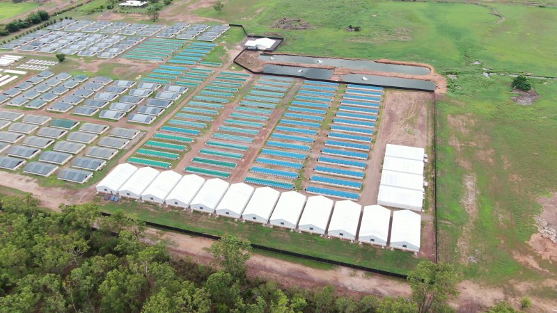 Crocodile farm - wide view