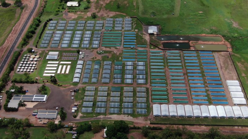 Crocodile farm - wide view