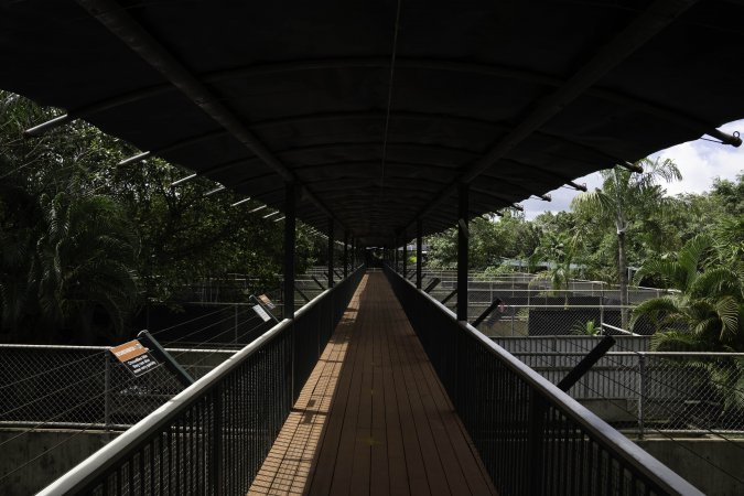 Crocodile pens at zoo