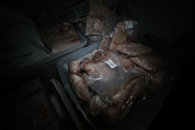 Crocodile meat in abattoir chiller room