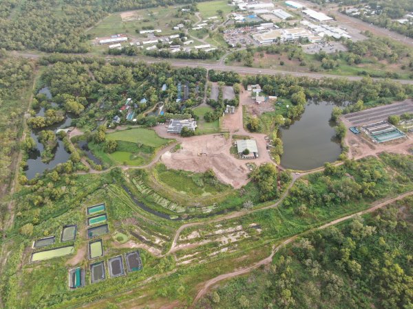 Drone flyover of Crocodylus park/zoo and hidden crocodile farm