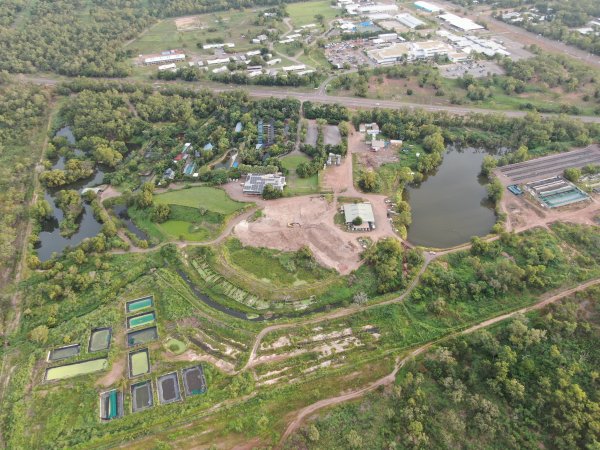 Drone flyover of Crocodylus park/zoo and hidden crocodile farm