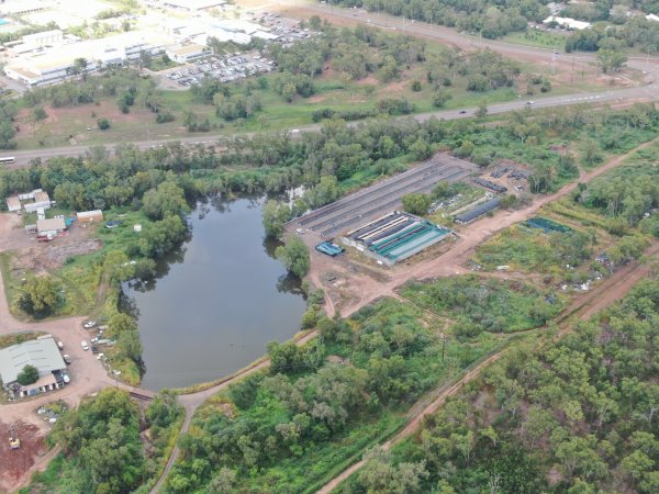 Drone flyover of Crocodylus park/zoo and hidden crocodile farm