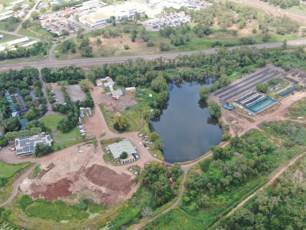 Drone flyover of Crocodylus park/zoo and hidden crocodile farm