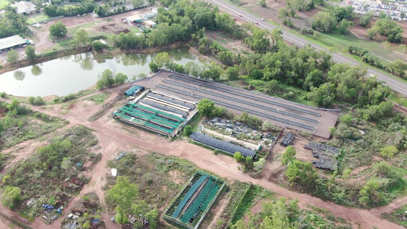 Cages at hidden Crocodylus crocodile farm