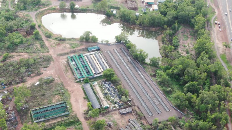 Cages at hidden Crocodylus crocodile farm