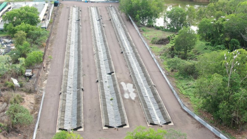 Cages at hidden Crocodylus crocodile farm