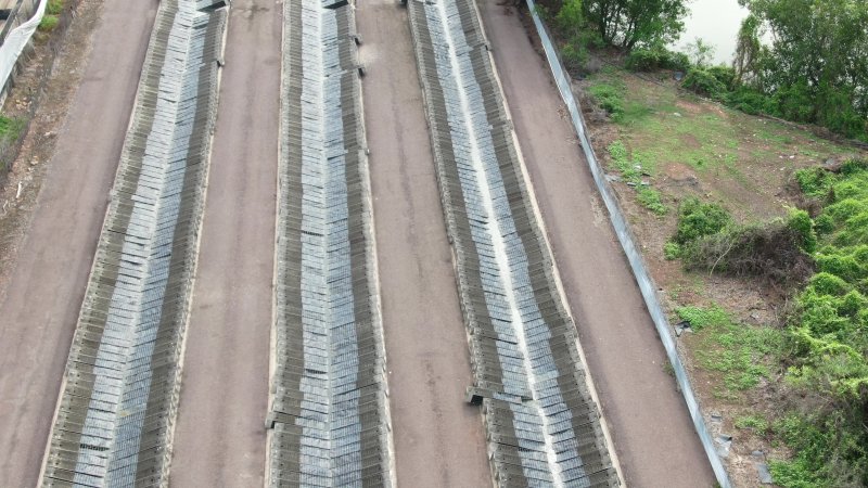 Cages at hidden Crocodylus crocodile farm