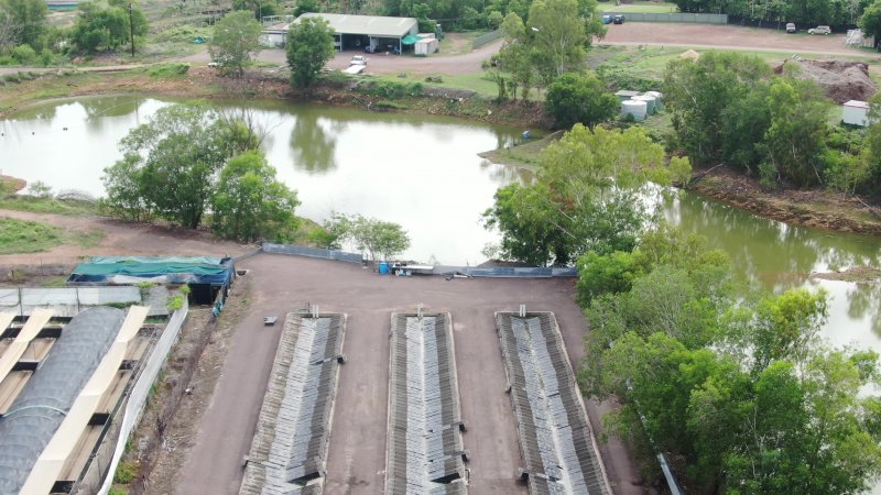 Cages at hidden Crocodylus crocodile farm