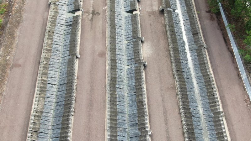 Cages at hidden Crocodylus crocodile farm