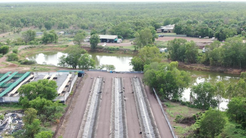 Cages at hidden Crocodylus crocodile farm