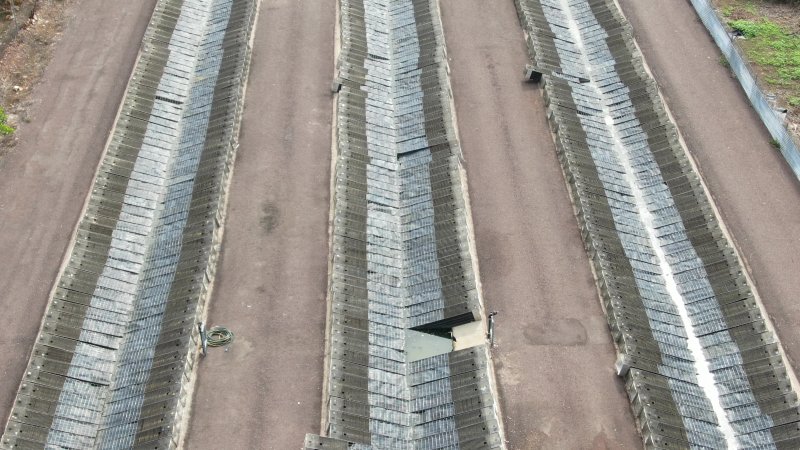 Cages at hidden Crocodylus crocodile farm