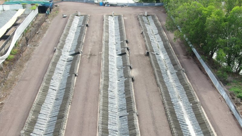 Cages at hidden Crocodylus crocodile farm