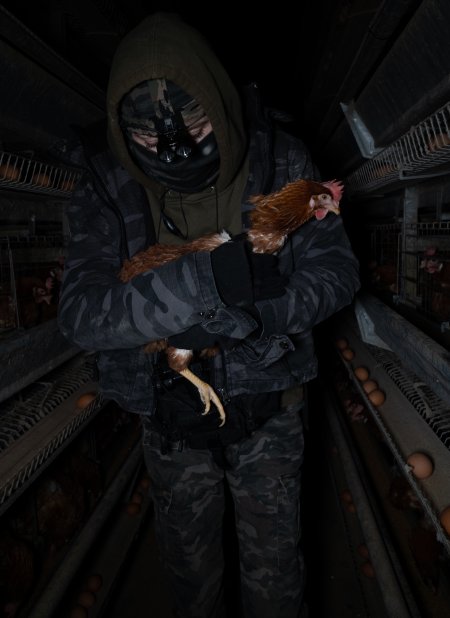 Activist rescues hen from battery cage