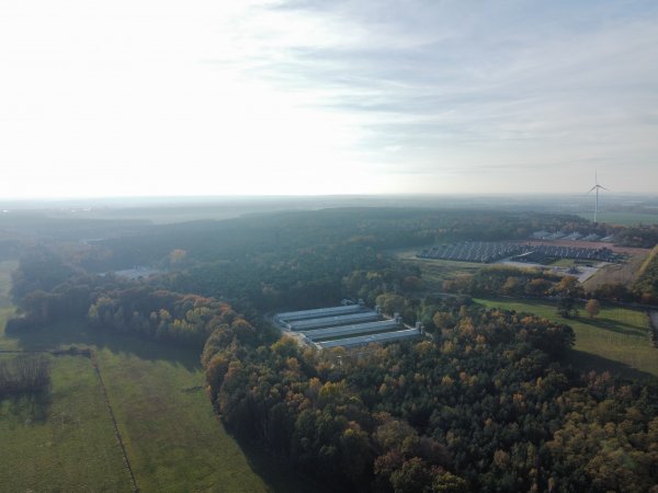 Drone fly-over egg farms Germany