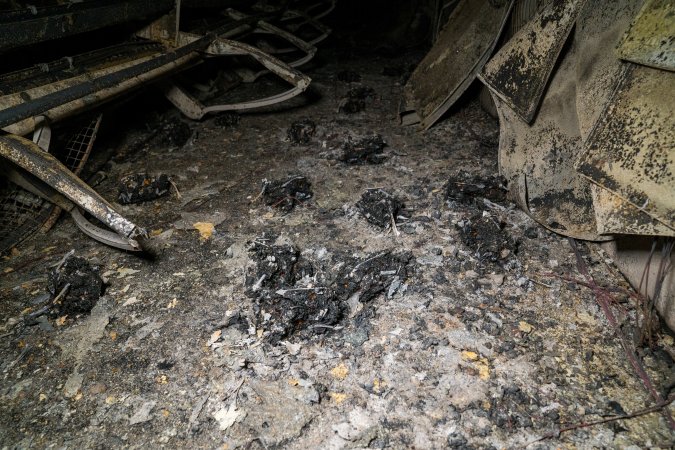 Egg Farm Fire Aftermath