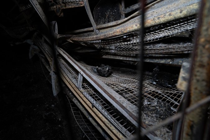 Egg Farm Fire Aftermath