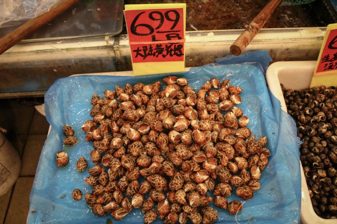 Shun Fa Seafood Market Inc.