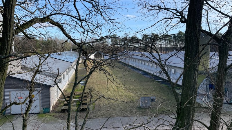 Egg farms from close up