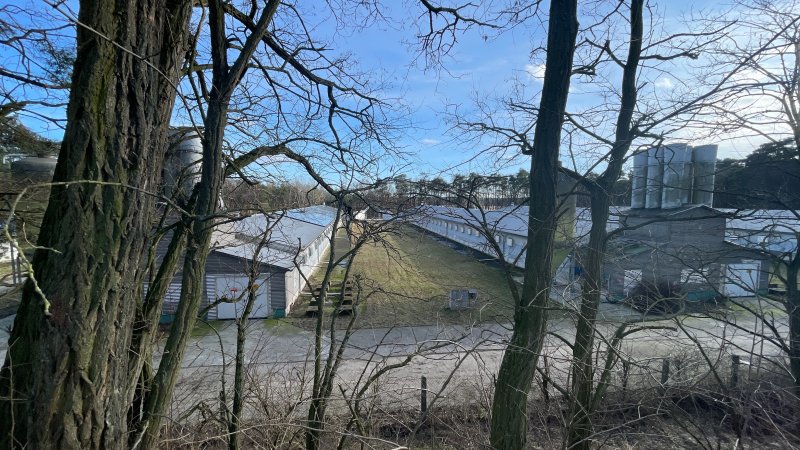 Egg farms from close up