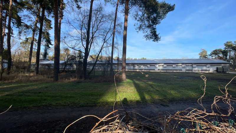 Egg farms from close up