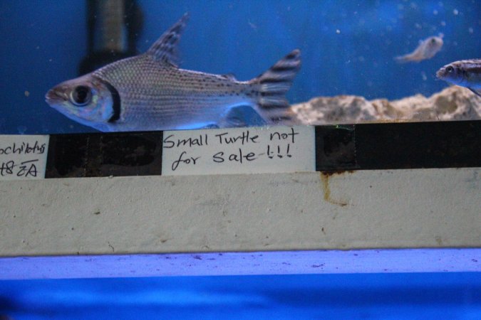 New Lucky Fish Aquarium & Pet Supply