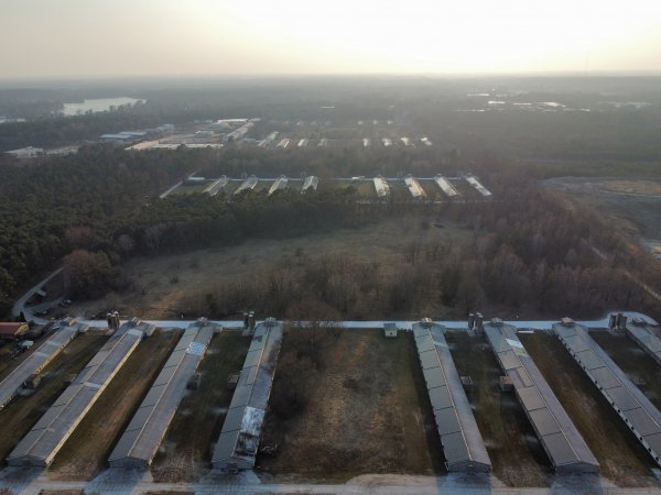 Poultry farms Königs Wusterhausen