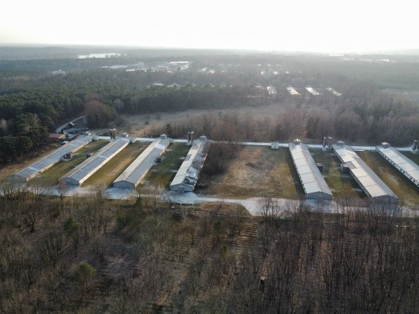 Poultry farms Königs Wusterhausen