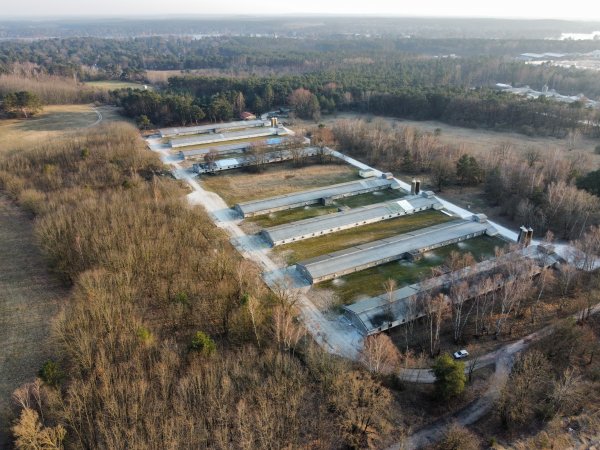 Poultry farms Königs Wusterhausen