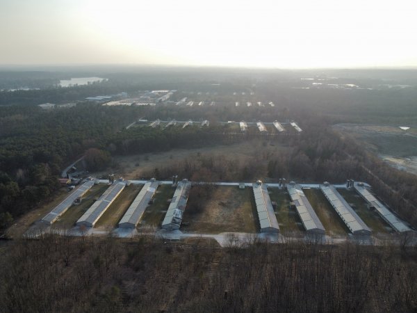 Poultry farms Königs Wusterhausen