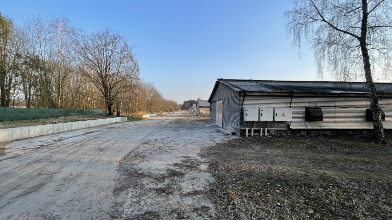 Poultry farms Königs Wusterhausen