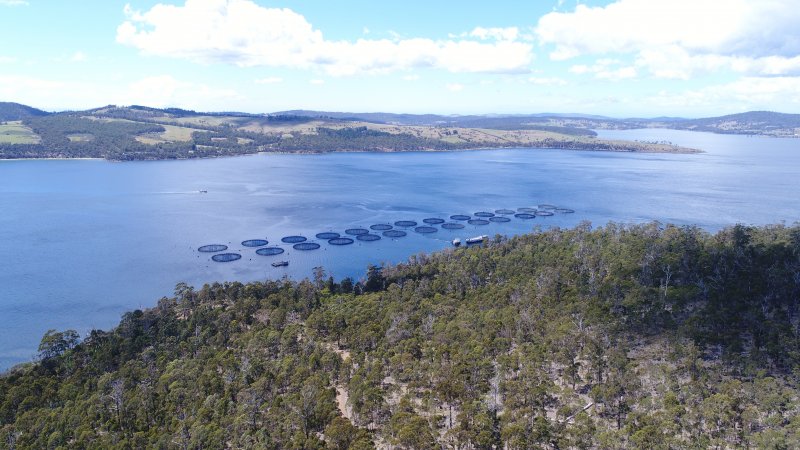 Drone flyover of offshore salmon farm