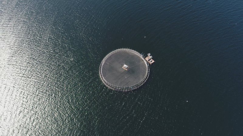 Drone flyover of offshore salmon farm