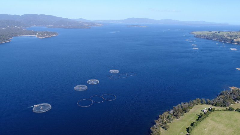 Drone flyover of offshore salmon farm