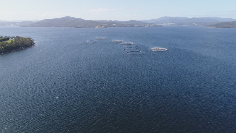 Drone flyover of offshore salmon farm