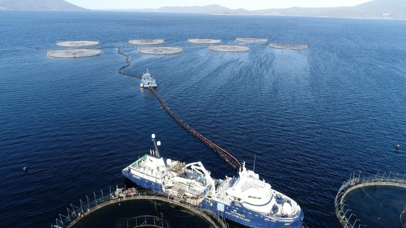 Drone flyover of offshore salmon farm