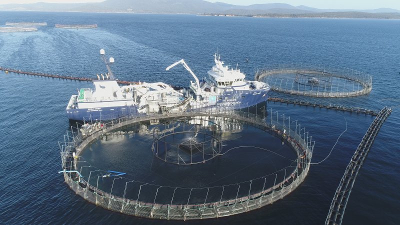 Drone flyover of offshore salmon farm