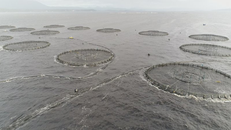 Drone flyover of offshore salmon farm