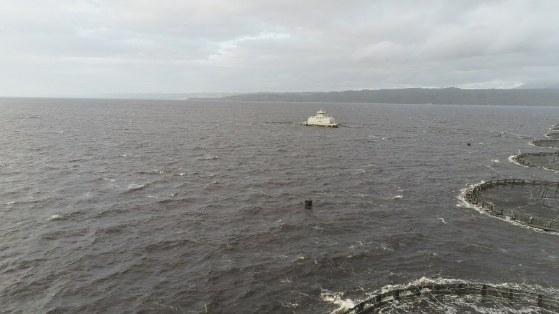 Drone flyover of offshore salmon farm